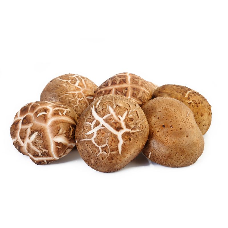 Nấm đông cô tươi (Nấm hương tươi)