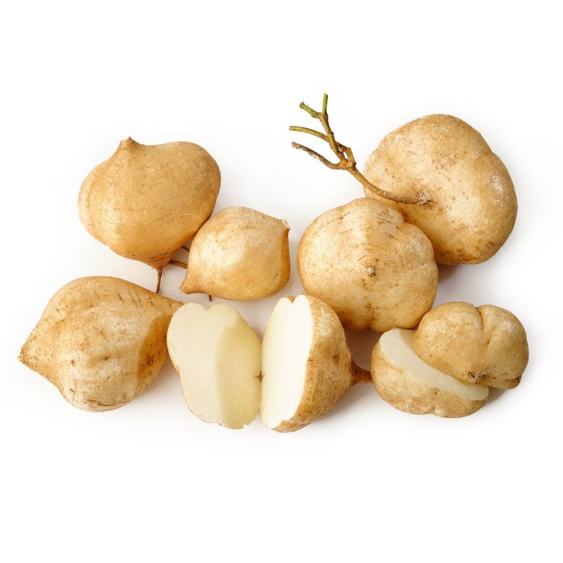 Củ sắn (củ đậu)