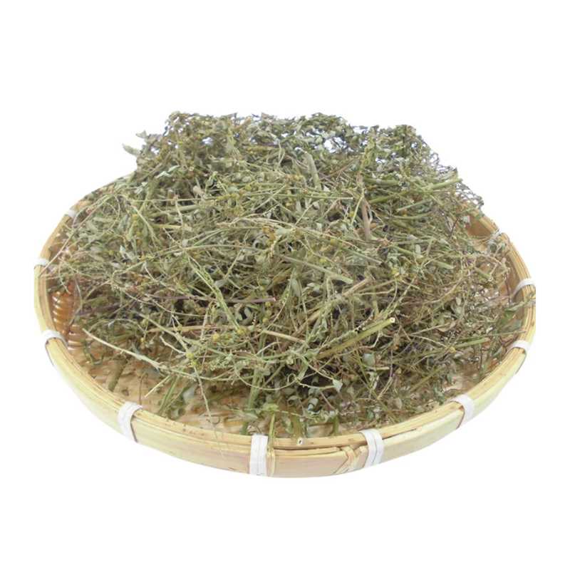 Diệp Hạ Châu phơi khô (Cây chó đẻ)